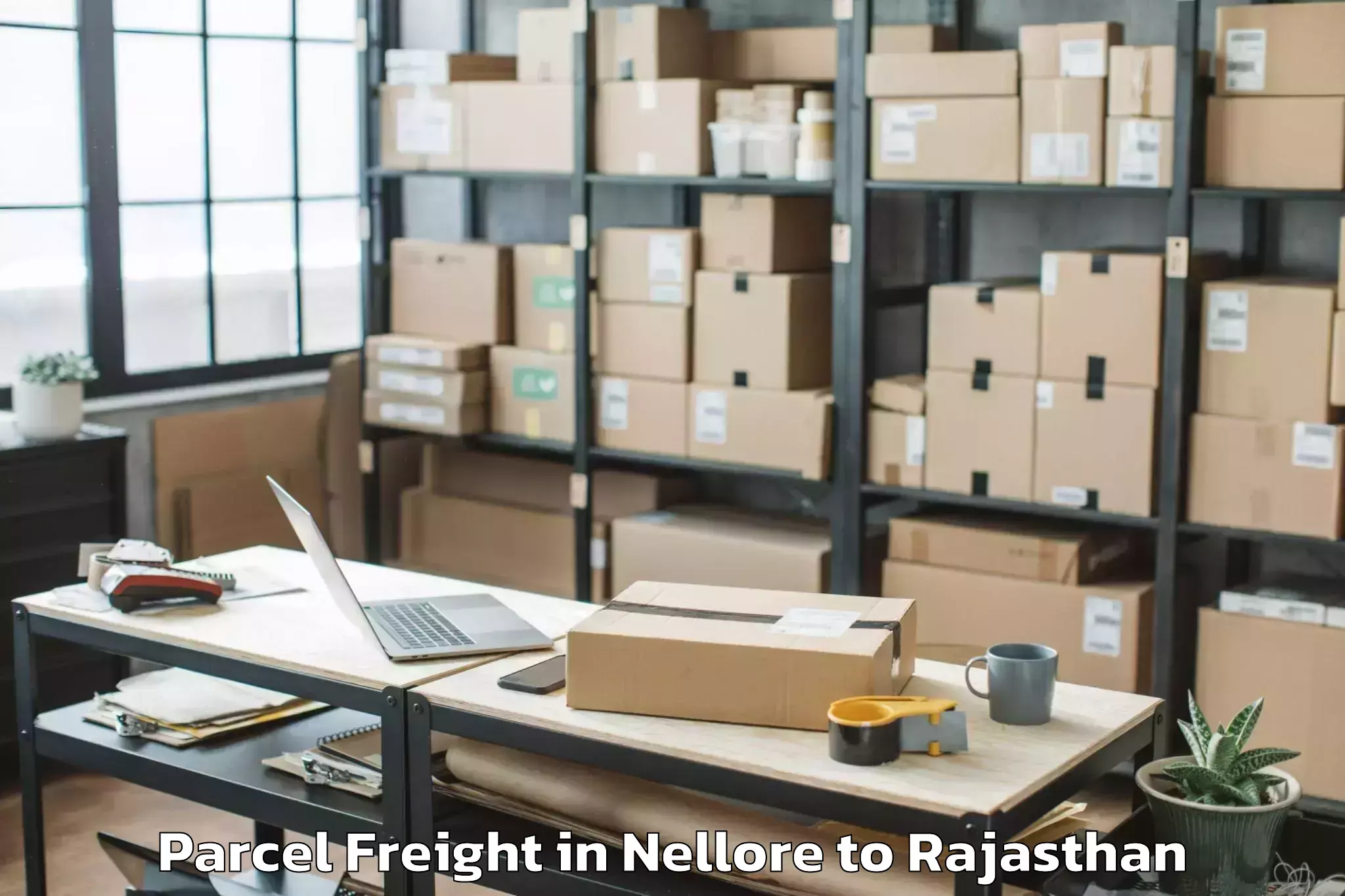 Top Nellore to Jaipur Parcel Freight Available